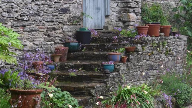 English country garden pond and flowers