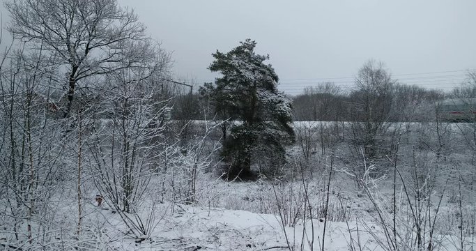 German high-speed train ICE 3 (InterCity Express) passes by across raised embankment in winter landscape
