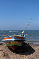 Fishing boat stands on the ocean beach. The Kingfisher bird sitting on a homemade fishing...