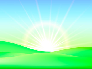 Obraz premium Green meadow background. Vector illustration for poster or banner.