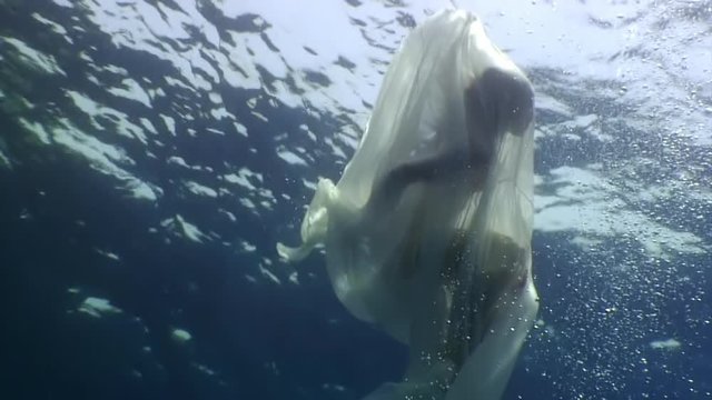 Young woman underwater model in white cloth on background of blue water. Concept of creativity and art of creating images.