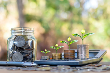 Plant trees on coins and calculators, financial accounting concepts and save money.