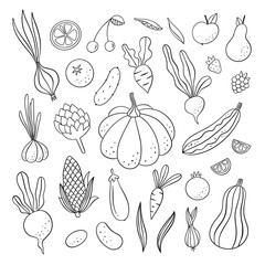Vegetables, fruit and berries vector collection. Outline doodle food on white background. Gardening and farming set