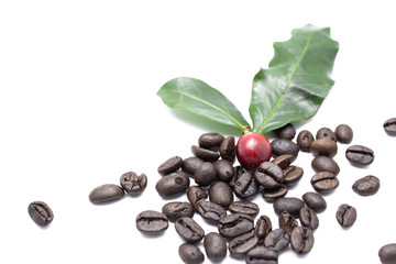 Coffee beans and leaves isolated on white background.