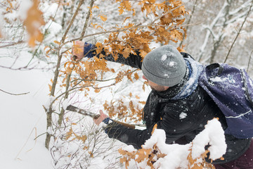 Man cuts dried oak branches (Badnjak).