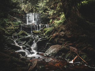 Fototapeta premium waterfall in the forest