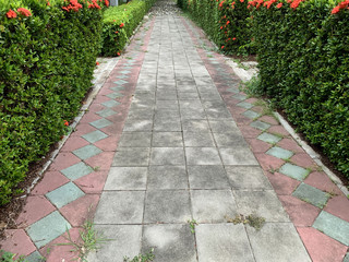 Concrete walkway in the public garden