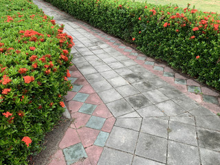 Concrete walkway in the public garden
