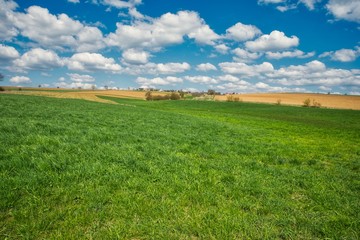 Wiesen und Felder im Sommer bewölkter Himmel