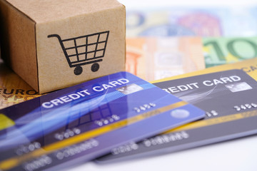 Credit card model with shopping cart on Euro banknotes : Financial development, Accounting, Statistics, Investment Analytic research data economy office Business company banking concept..