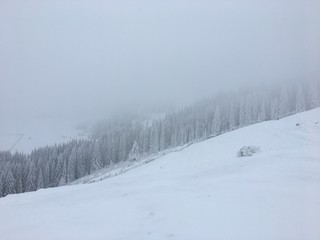 Winter mountain landscape in foggy Carpathians