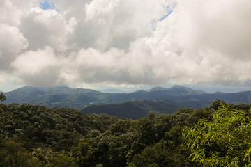 Mountain green landscape view with clound in the morning at Chaing mai, Thailand