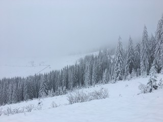 Winter mountain landscape in foggy Carpathians