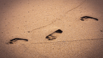 Close up textured background footprint of a man walking on the sand at the beach