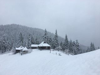 Winter mountain landscape in foggy Carpathians