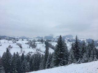 Winter mountain landscape in foggy Carpathians