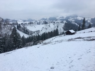 Winter mountain landscape in foggy Carpathians