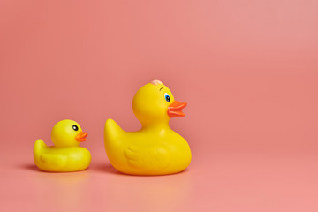 Two yellow rubber ducks toys, copy space. Cute funny bath toys, minimal kidult concept. Pink...