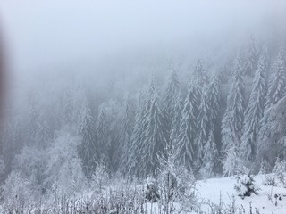 Winter mountain landscape in foggy Carpathians