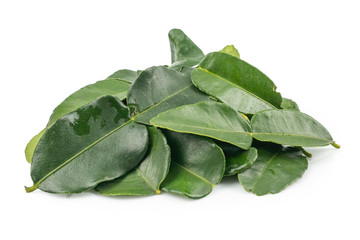 Bergamot leaf isolated on the white background. Herbs with Essential Oils Aromatherapy