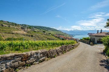 Fototapeta na wymiar View on a little winery village called Rivaz, Lavaux Switzerland
