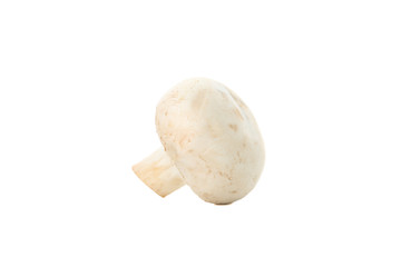 Raw champignon mushroom isolated on white background, close up