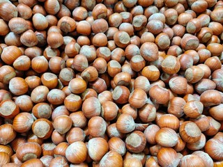 Hazelnuts in shell, natural raw food 