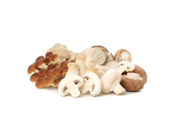 Group of different mushrooms isolated on white background