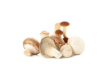 Group of different mushrooms isolated on white background
