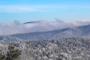 Forest in Beskid Sadecki Mountains in winter. View from Jaworzyna Krynicka, Poland.