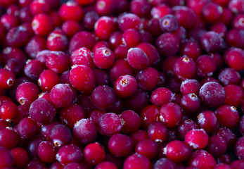 Frozen cranberries background, healthy berries