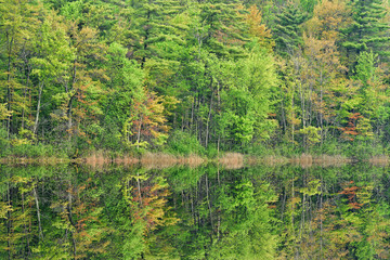 Obraz premium Spring landscape of Long Lake with mirrored reflections, Yankee Springs State Park, Michigan, USA