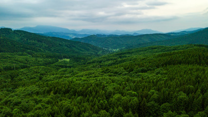 Aerial view of green trees in the Slovak Tatras