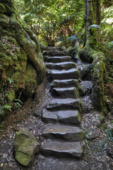 Grand Canyon Walk, Blue Mountains National Park, Evans Lookout Rd, Blackheath, NSW, Australia