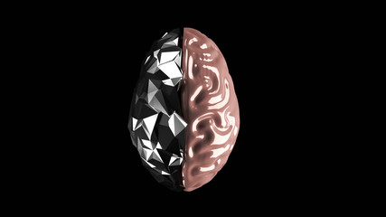 3D Rendering of half human brain half cyborg brain. Concept for artificial intelligence, bio technology, machine learning, bionic organs, hardware chip implant.