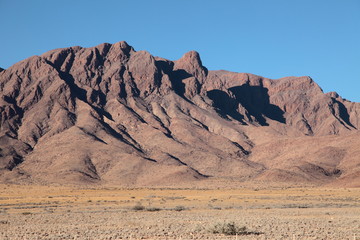 Open dry savannah arid landscape with tall grass and desert shrubs in Namibia safari