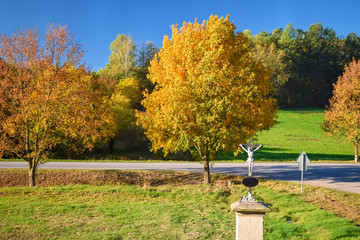 Trees with yellow leaves and green grass near road and a monument with crucifix