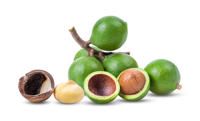 macadamia nuts isolated on white background.