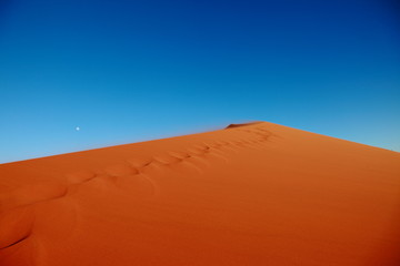 Huge Red sand dunes in Sossusvlei desert in Namibia in the sunrise
