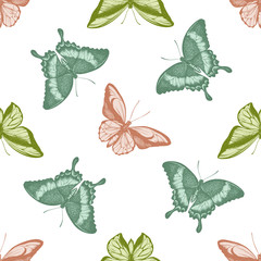 Seamless pattern with hand drawn pastel ornithoptera croesus lydius, papilio palinurus, ornithoptera goliath