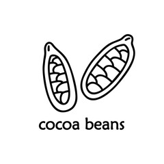 Contour cocoa bean icon. Black and white logo. Hand drawn vector image. Doodle illustration for food, product design. Cartoon isolated fruit on white background. Line art elements