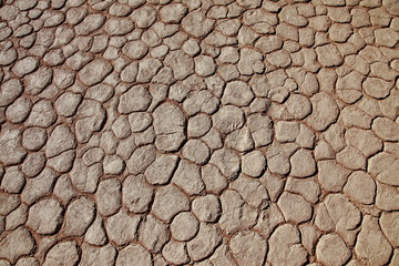 Dead black trees silhouettes in dry lake due to drought in the Red sand dunes in Sossusvlei desert in Namibia