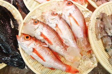 日本の市場で売っていた魚 © 千尋 竹中
