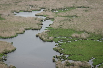 Landscape of Kushiro bog (the biggest bog in Japan / Hookaido)