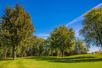 Obraz na płótnie Canvas Green grass golf course