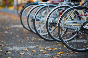 Obraz premium Bicycle parking in the park.