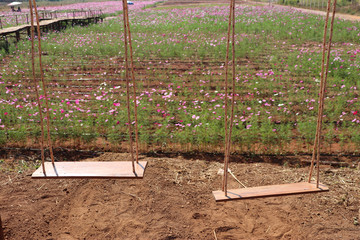 Fototapeta premium Swings in the flower garden