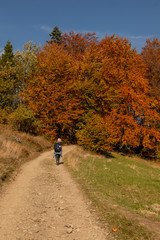 Hiker woman with backpack walking in the mountains in autumn scenery. Lifestyle and adventure concept. Active vacations into the wild