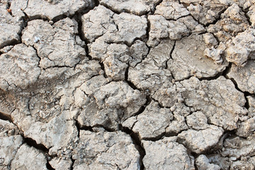 Cracked ground as a background