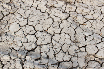 Cracked ground as a background